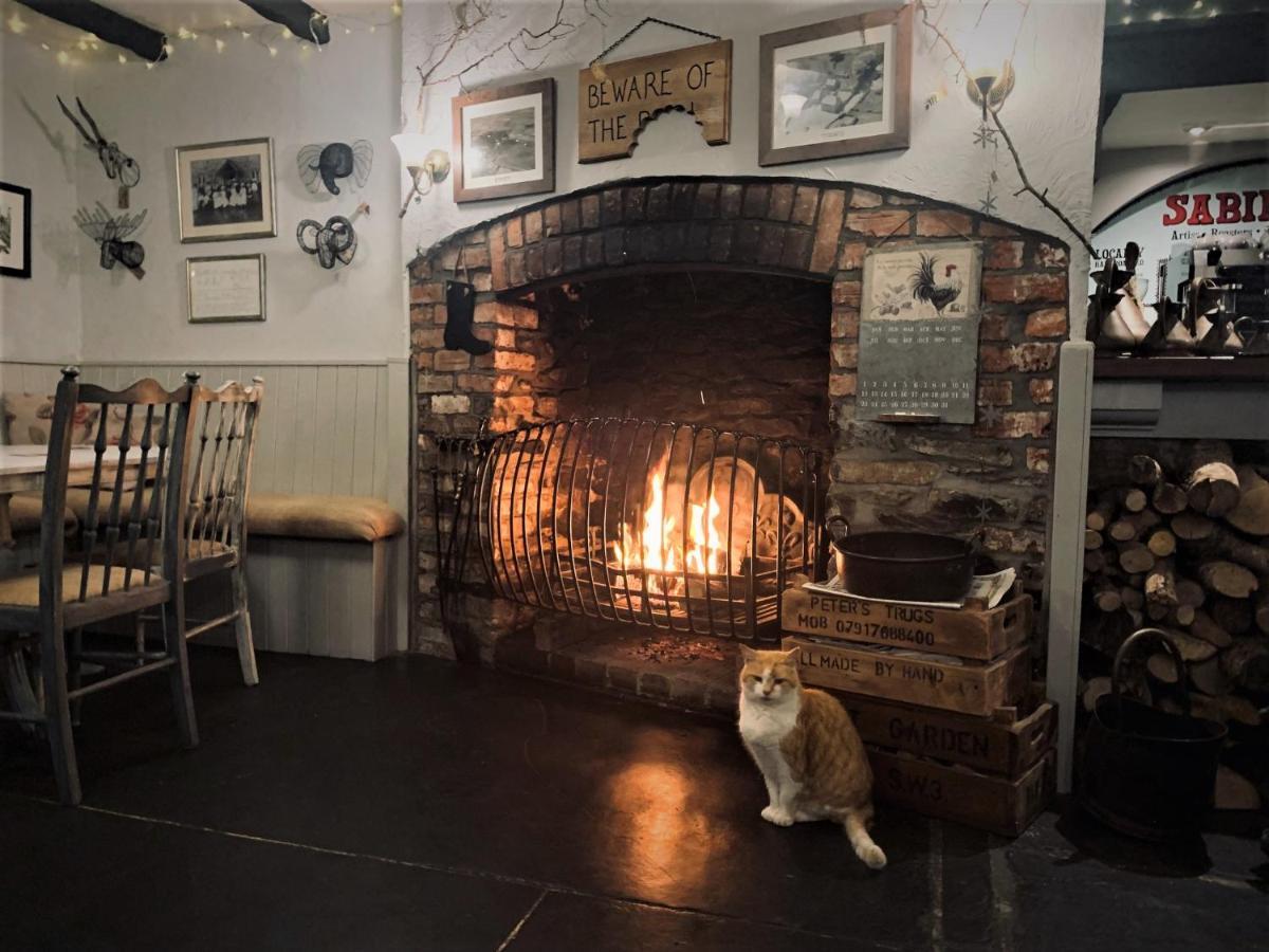 Molesworth Accommodation, Pyworthy, Devon Holsworthy Extérieur photo